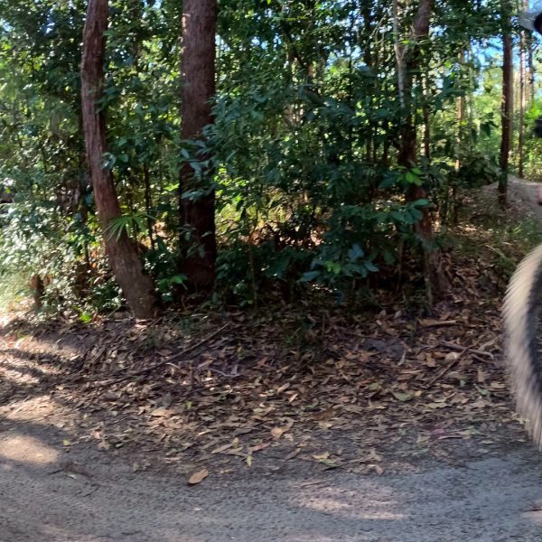 Riders carving a berm on forest singletrack, guided multi-day bike journey Noosa
