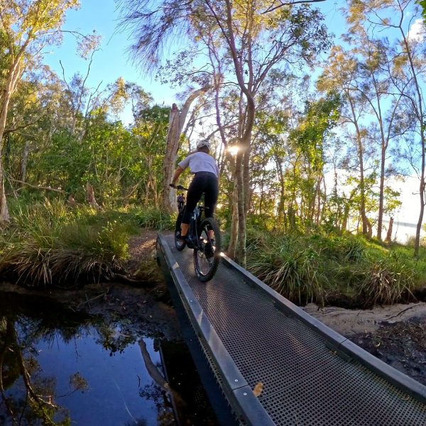 Mountain bike rider rolling onto a boardwalk over a creek, Noosa Biosphere trails
