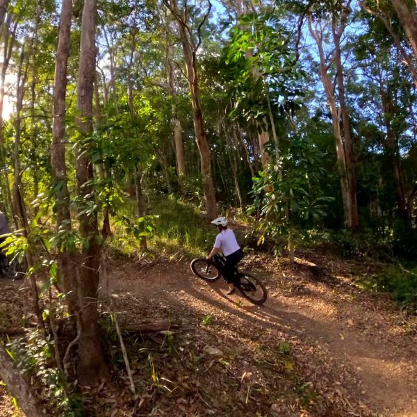 Riders on forest singletrack in late afternoon light, Noosa Hinterland