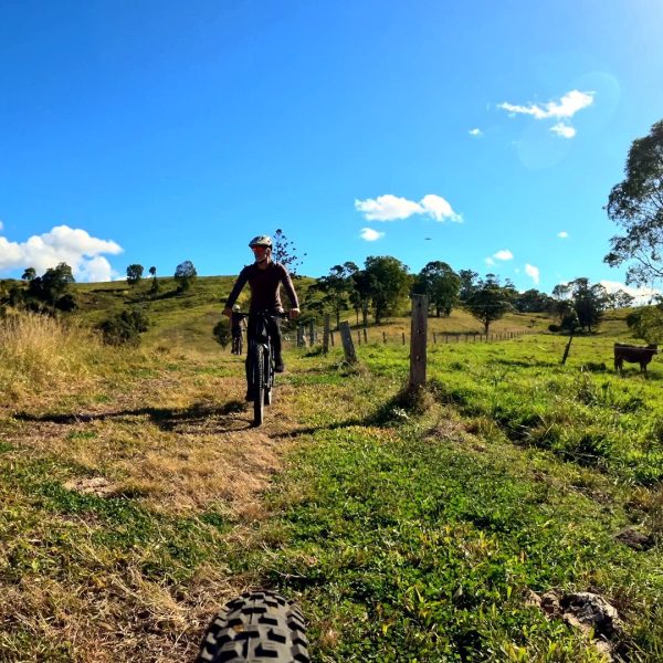 Rider on a trail through hinterland paddocks with cattle, Noosa Hinterland