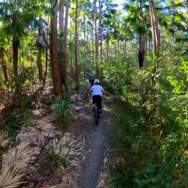 Rider on palm forest singletrack in the Noosa Hinterland