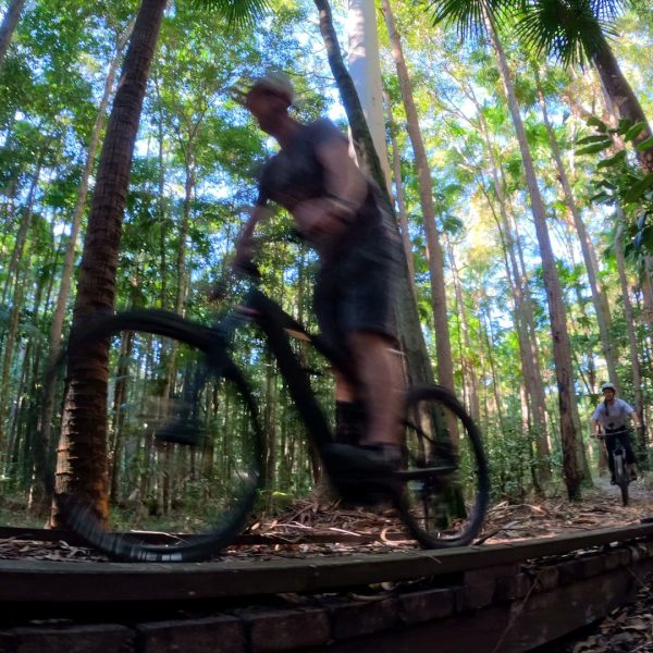 Mountain bike rider over a timber boardwalk among palms, Noosa Hinterland